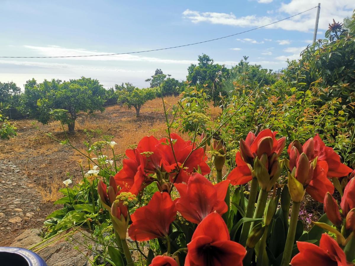 Casa Rural Dolores En Adeje Costa Adeje  Esterno foto
