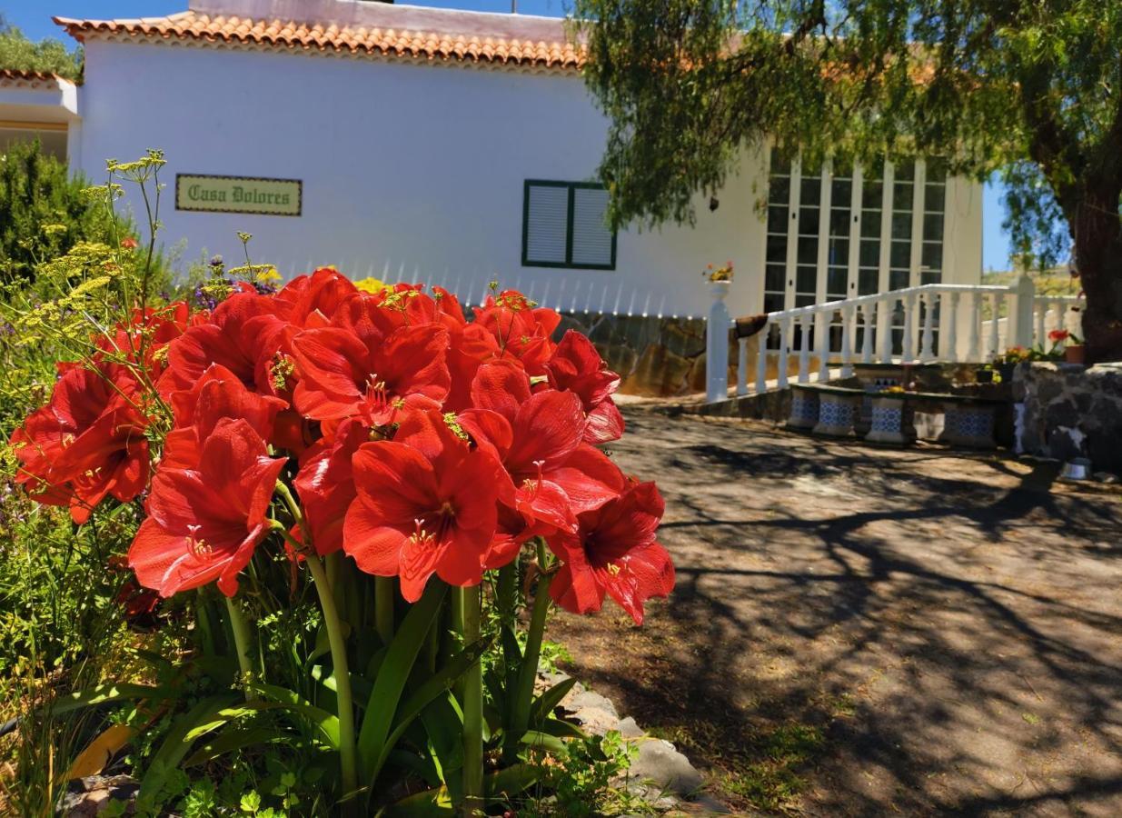 Casa Rural Dolores En Adeje Costa Adeje  Esterno foto